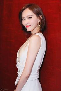 天涯爆料赵雅芝视频全集,赵雅芝视频全集揭秘，经典瞬间回顾